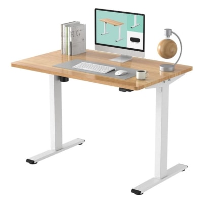 Flexispot EC1 Electric/Automatic Standing Desk