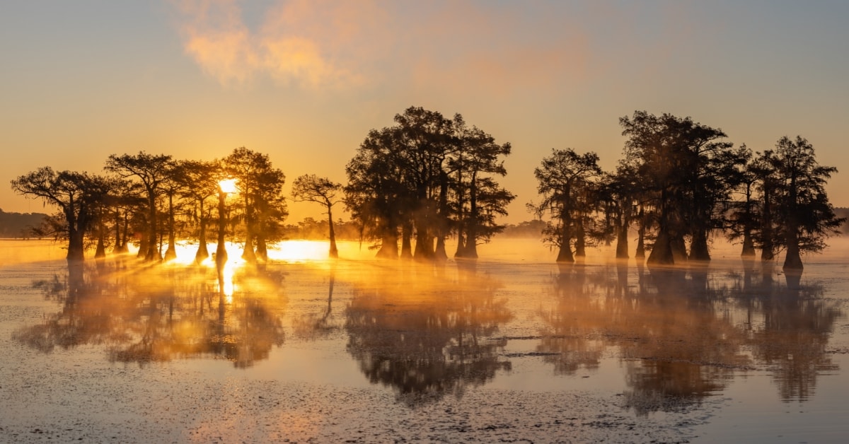 Caddo Lake