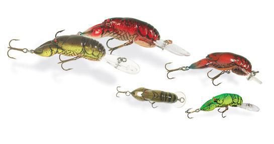 Rebel Wee-Craw