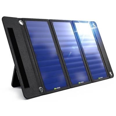 Wildtek Source 21W