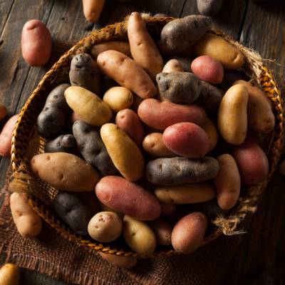 Fingerling Potatoes