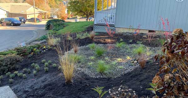 front-yard-makeover-after