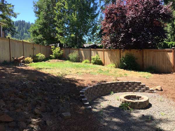 backyard-makeover-before
