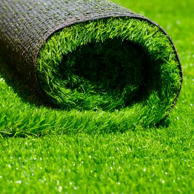 Carpet Grass