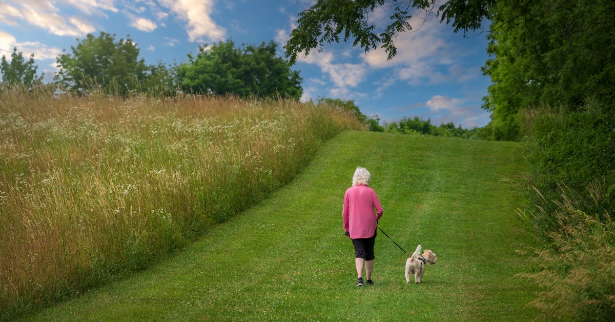 Dog Walker