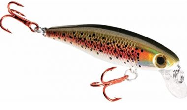 Dynamic Lures Fishing Trout Lure