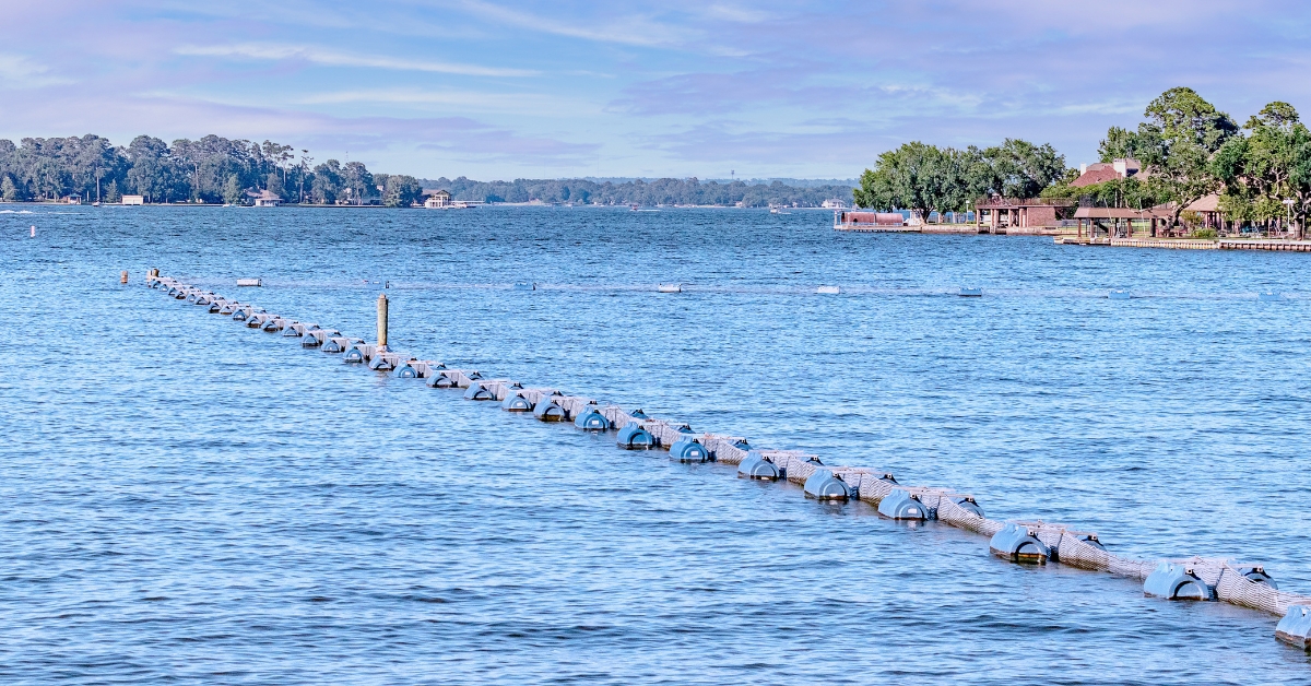 Lake Conroe