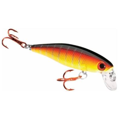 Dynamic Lure Fishing Lure with Multiple BB Chamber and Treble Hooks