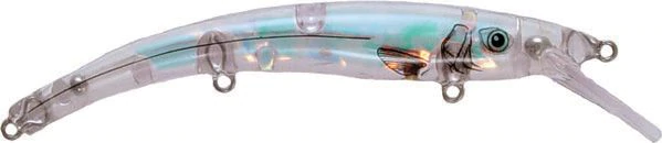 Reef Runner Ripstick