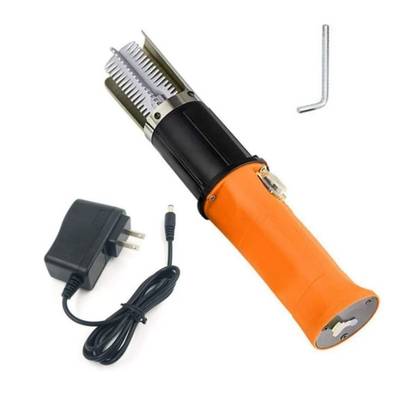 Electric Fish Scaler